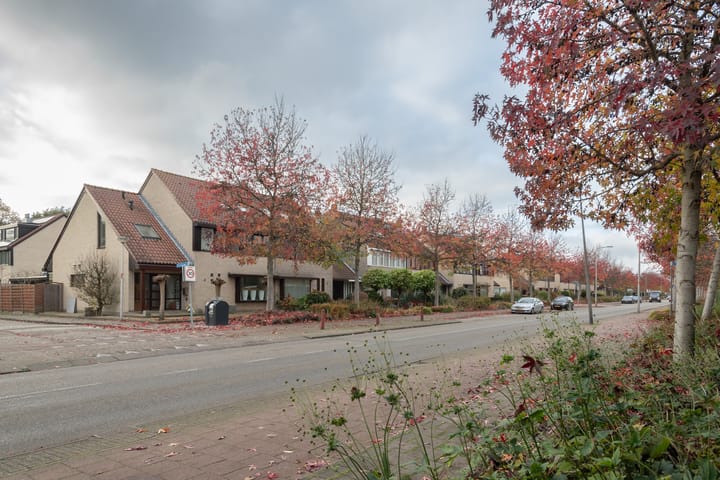 Foto 38 van Europalaan 85