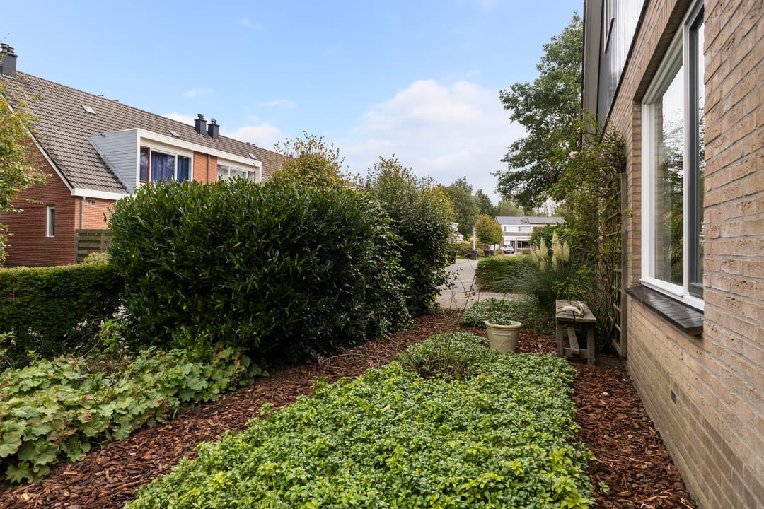 Photo 8 of Molenerf 55