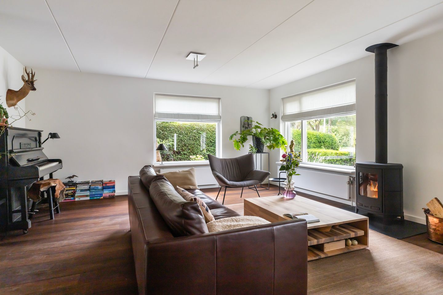 Photo 14 of Molenerf 55