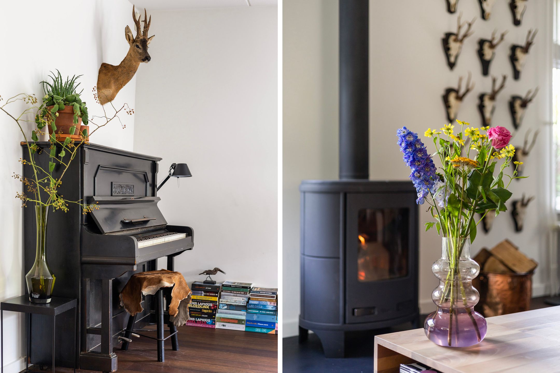 Photo 15 of Molenerf 55