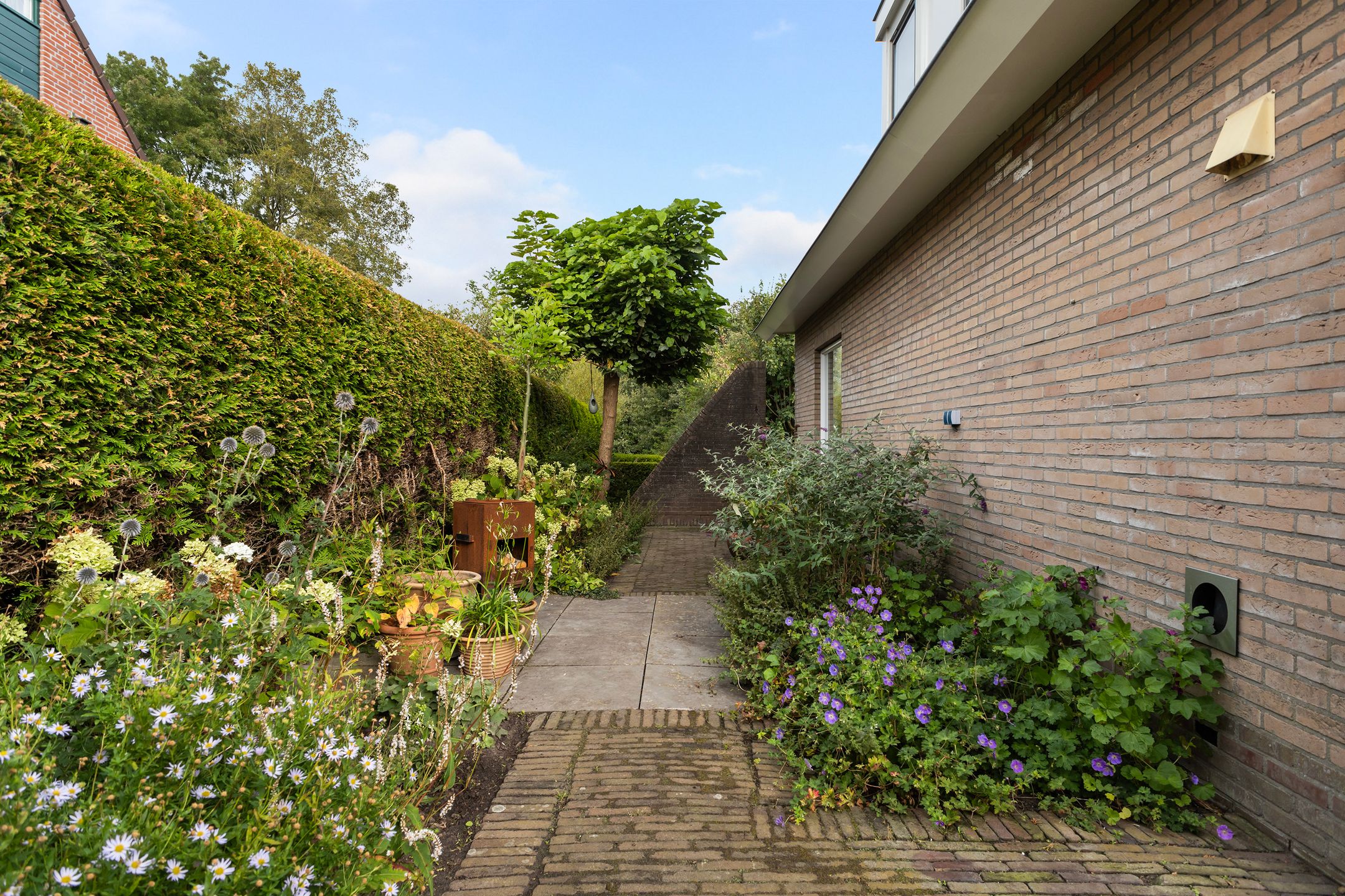 Photo 24 of Molenerf 55