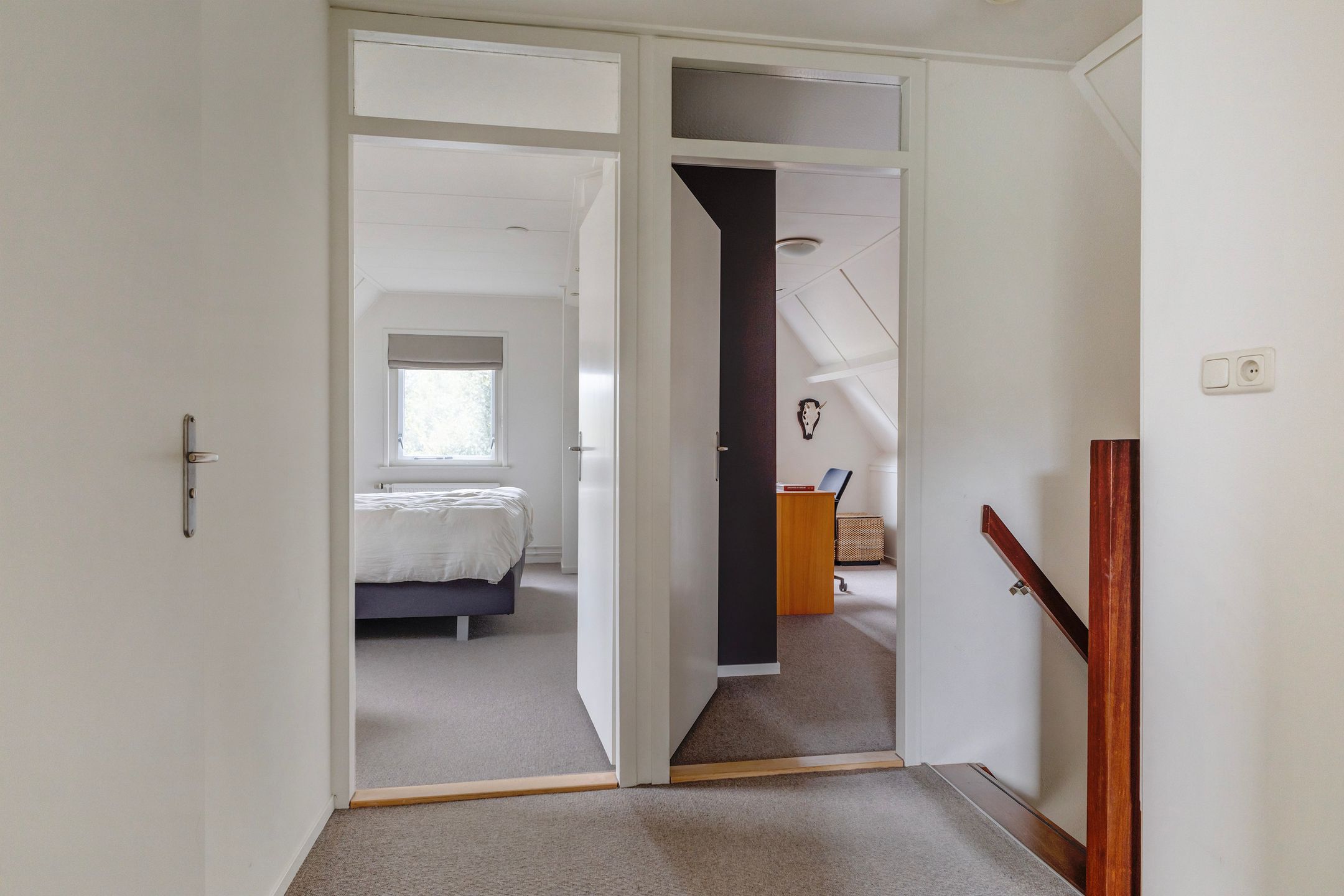 Photo 36 of Molenerf 55