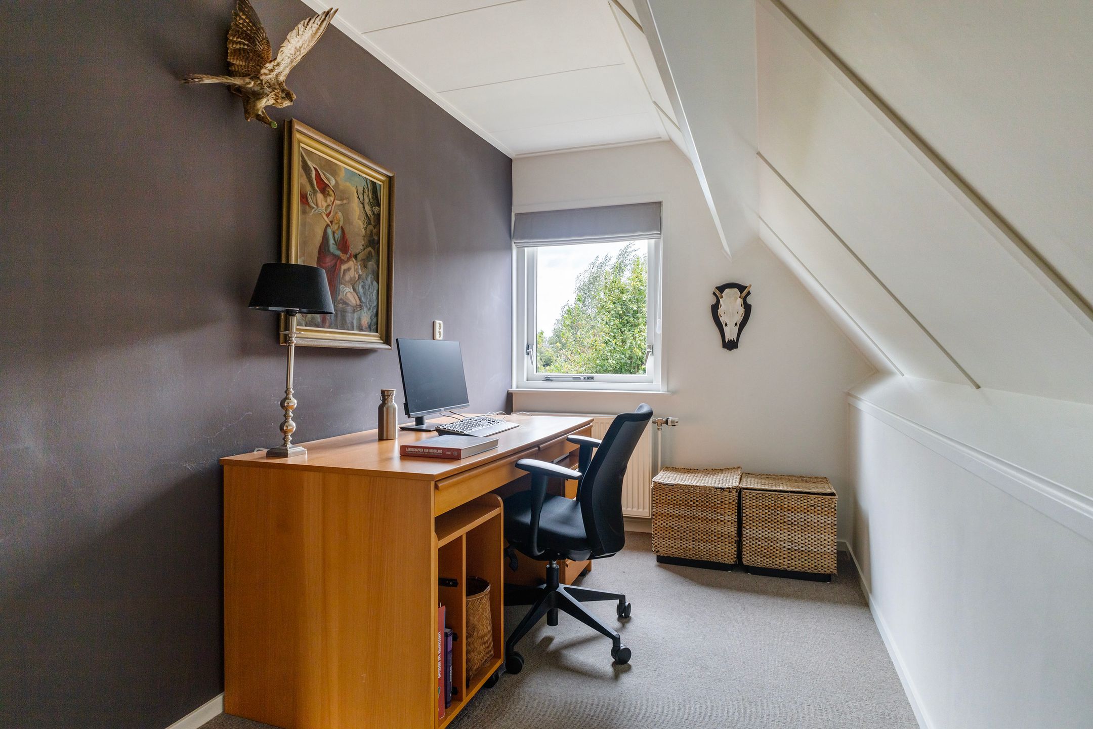 Photo 42 of Molenerf 55