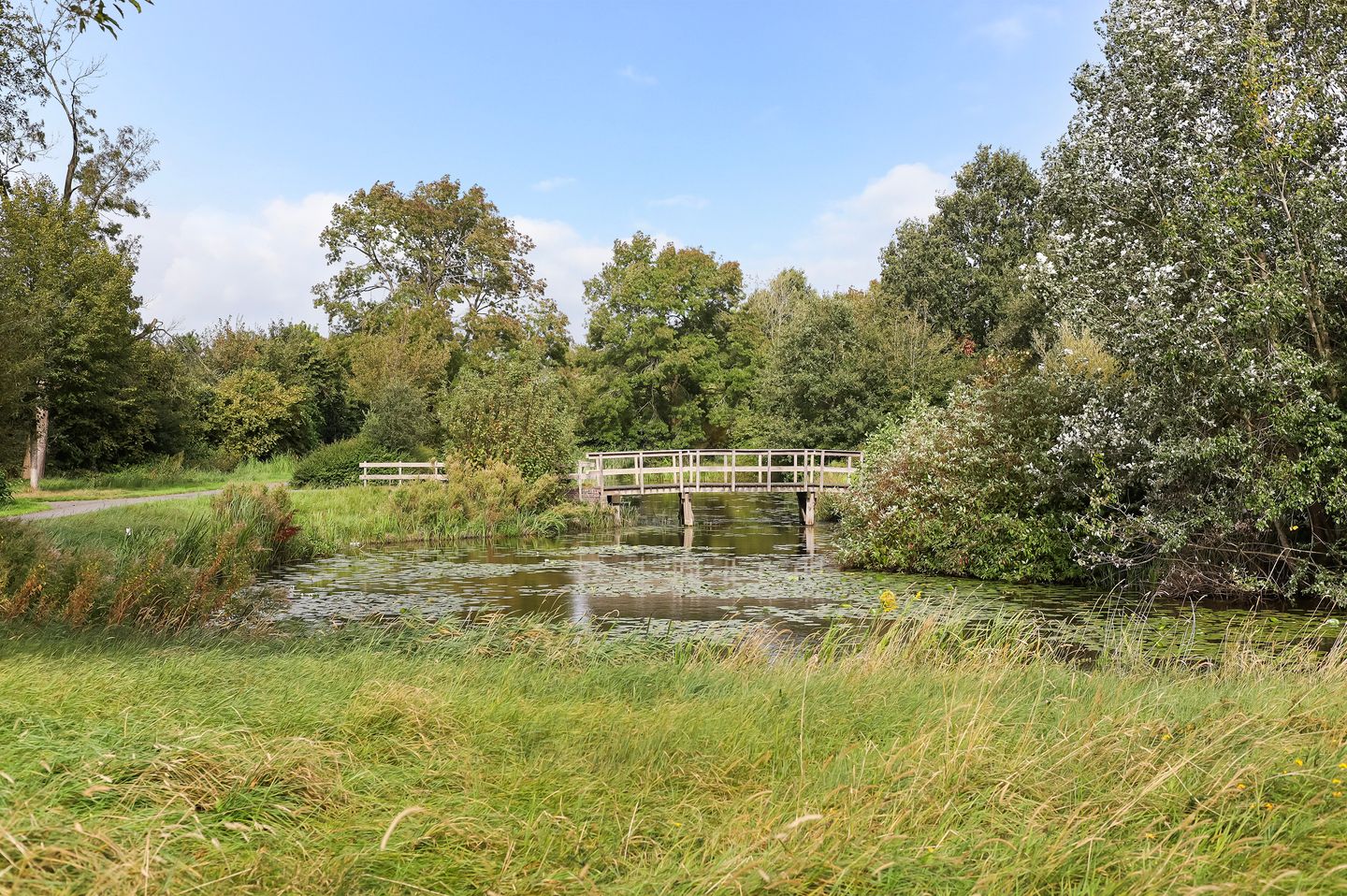 Photo 49 of Molenerf 55