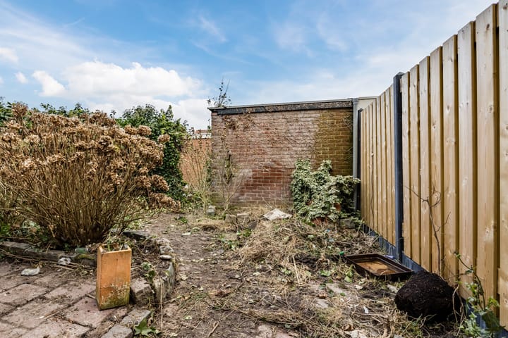 Foto 22 van Daniël Willemsstraat 8