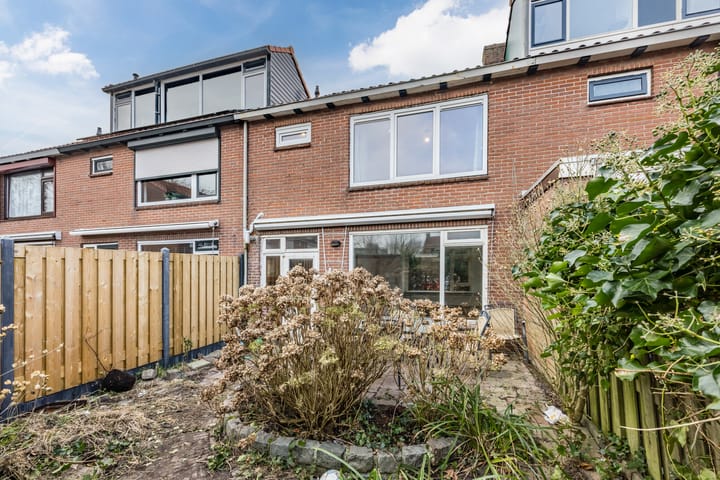 Foto 23 van Daniël Willemsstraat 8