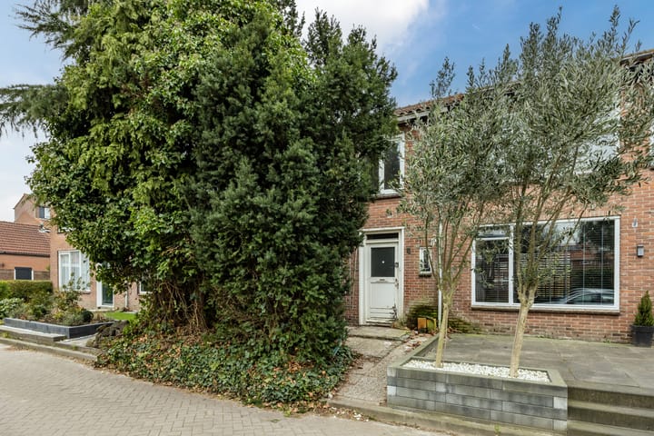 Foto 24 van Daniël Willemsstraat 8