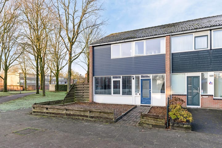 Foto 1 van Laan van de Bork 548