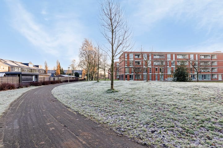 Foto 18 van Laan van de Bork 548