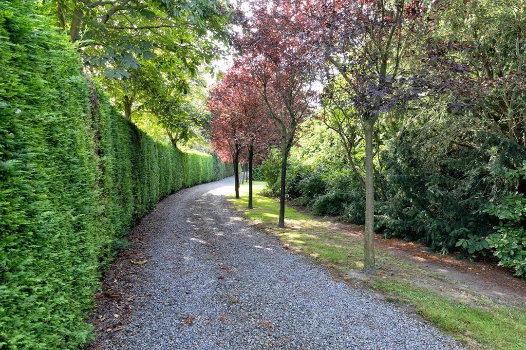 Photo 31 of Tweede Verkorting 1