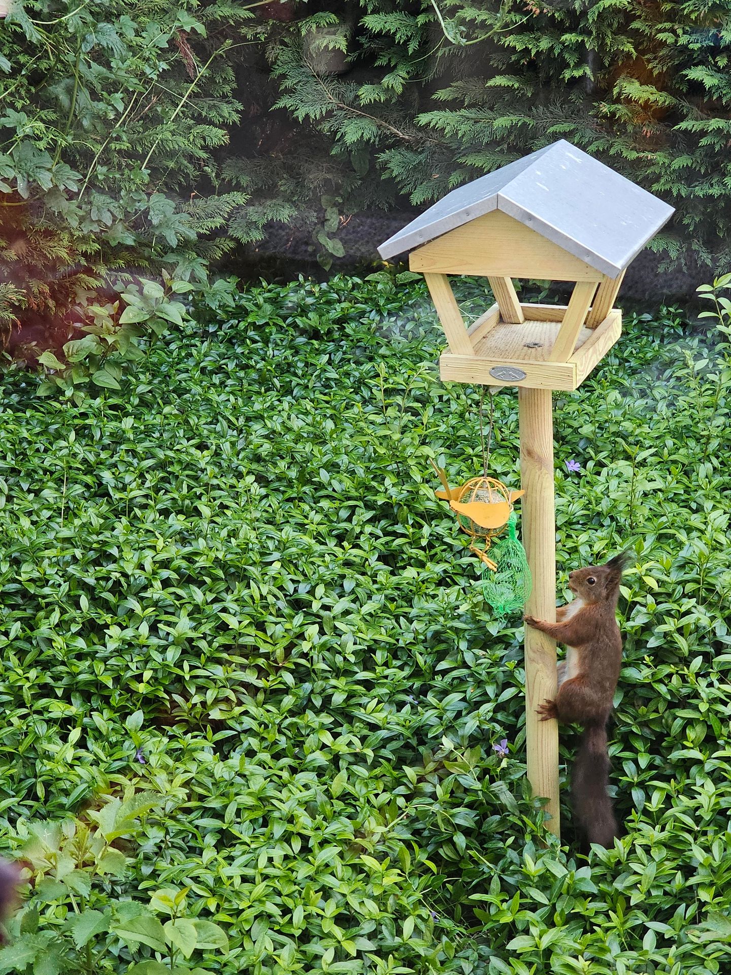 Photo 34 of Tweede Verkorting 1