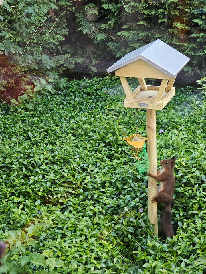 Foto 34 van Tweede Verkorting 1