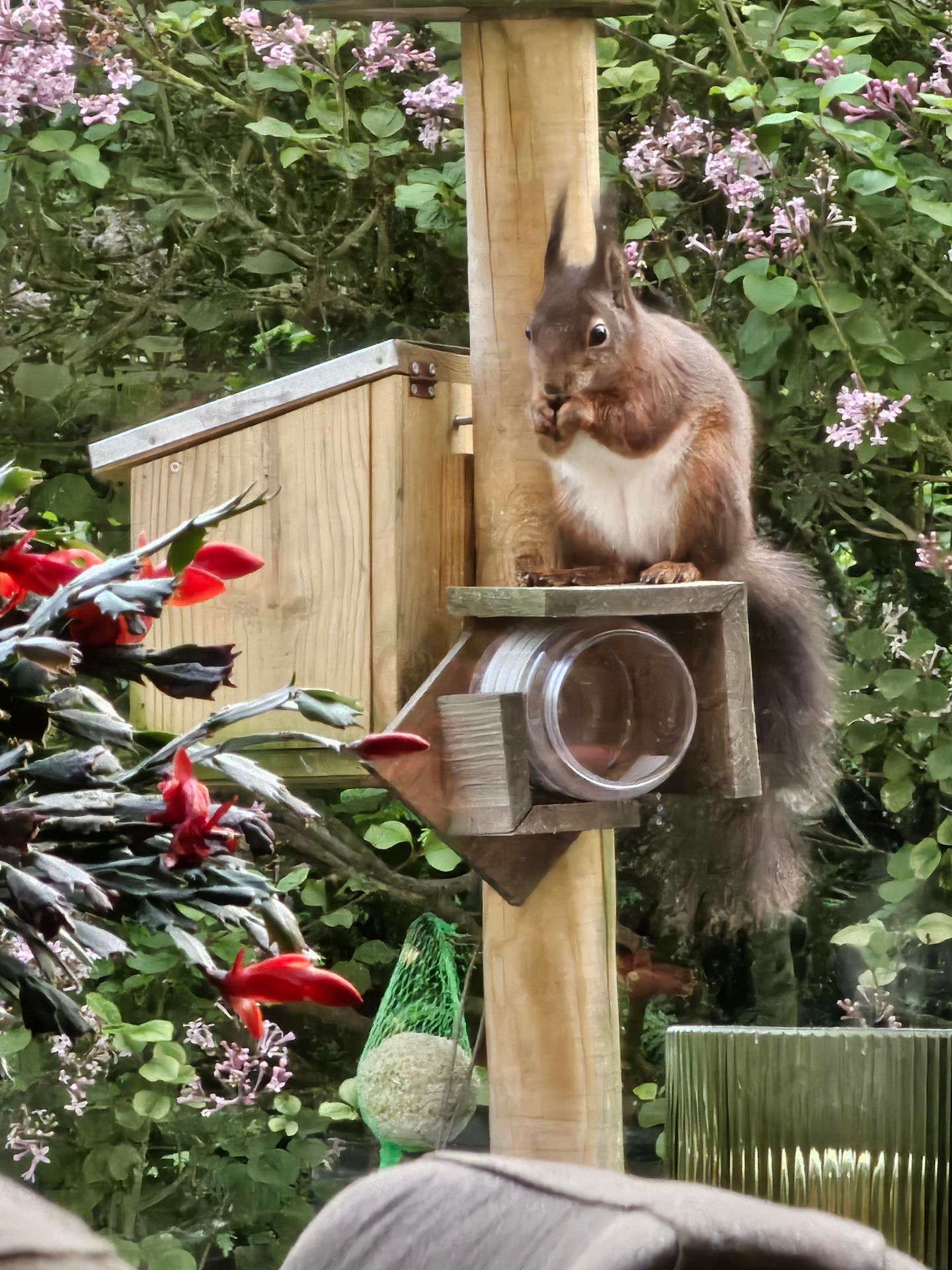 Photo 35 of Tweede Verkorting 1