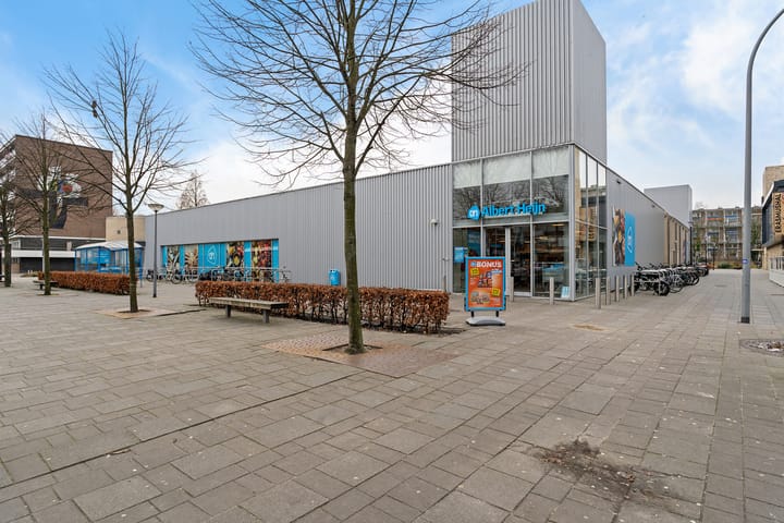 Foto 42 van van Baerlestraat 27