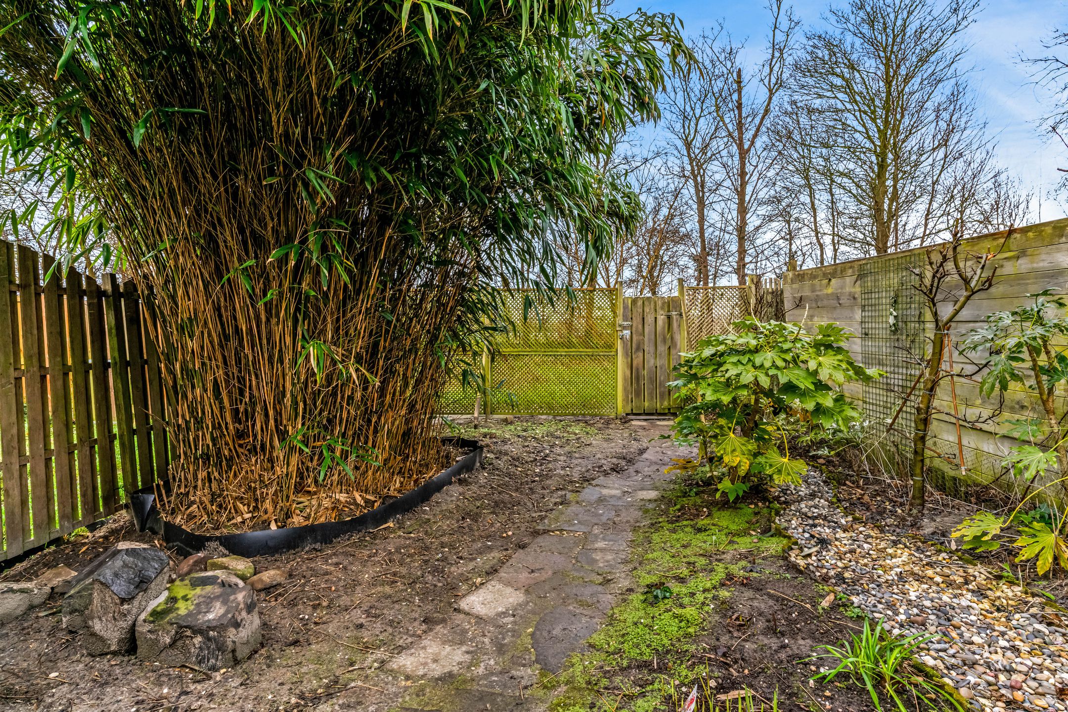 Foto 30 van Korenstraat 37