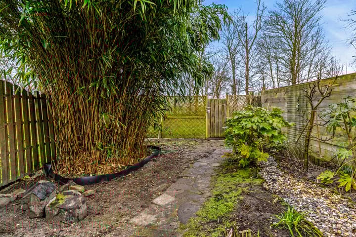 Foto 30 van Korenstraat 37