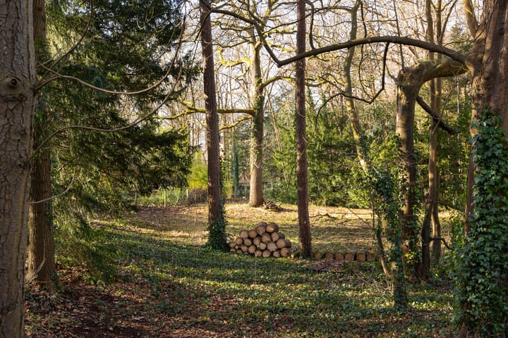 Foto 11 van Bekslaan 11-A