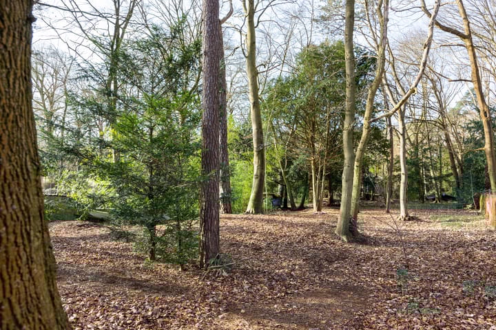 Foto 12 van Bekslaan 11-A