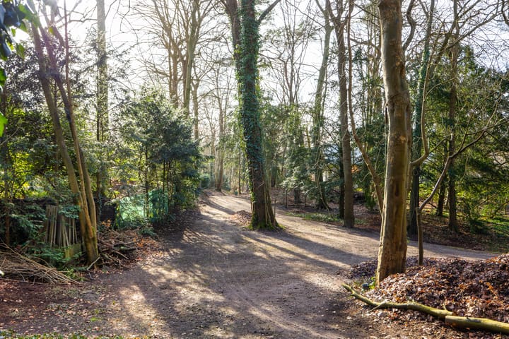 Foto 16 van Bekslaan 11-A