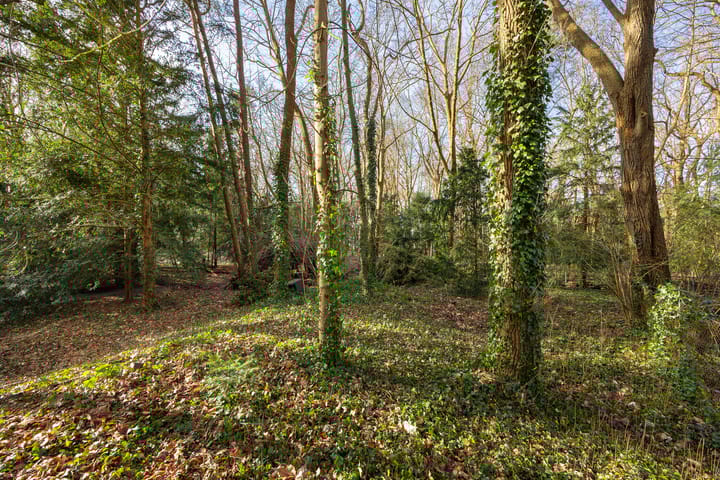 Foto 18 van Bekslaan 11-A