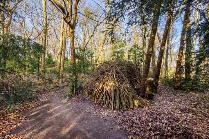 Foto 21 van Bekslaan 11-A