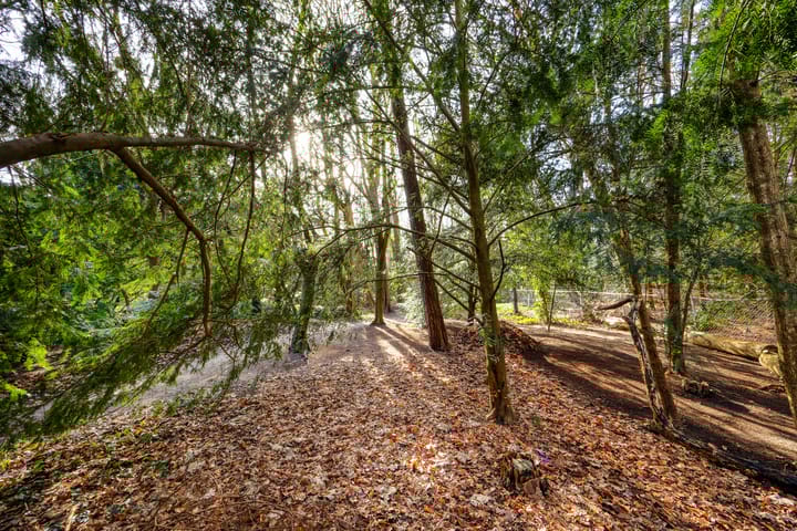 Foto 22 van Bekslaan 11-A