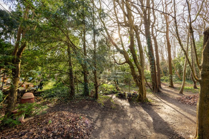 Foto 23 van Bekslaan 11-A