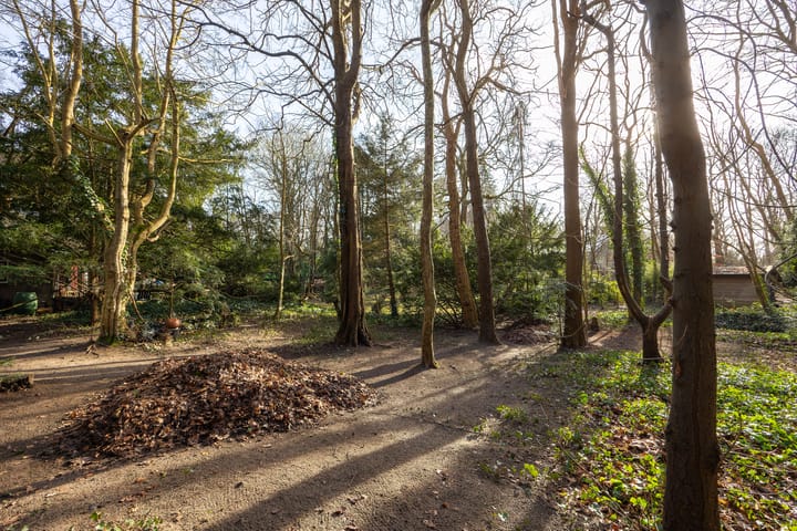 Foto 25 van Bekslaan 11-A