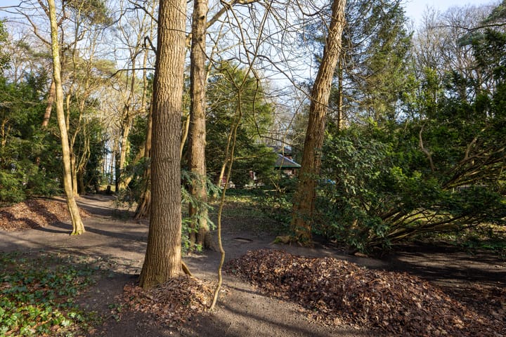 Foto 26 van Bekslaan 11-A