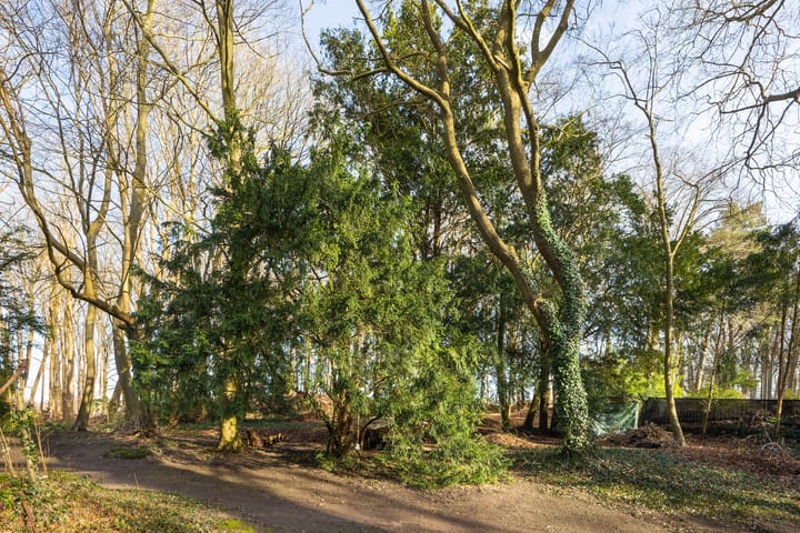 Foto 28 van Bekslaan 11-A