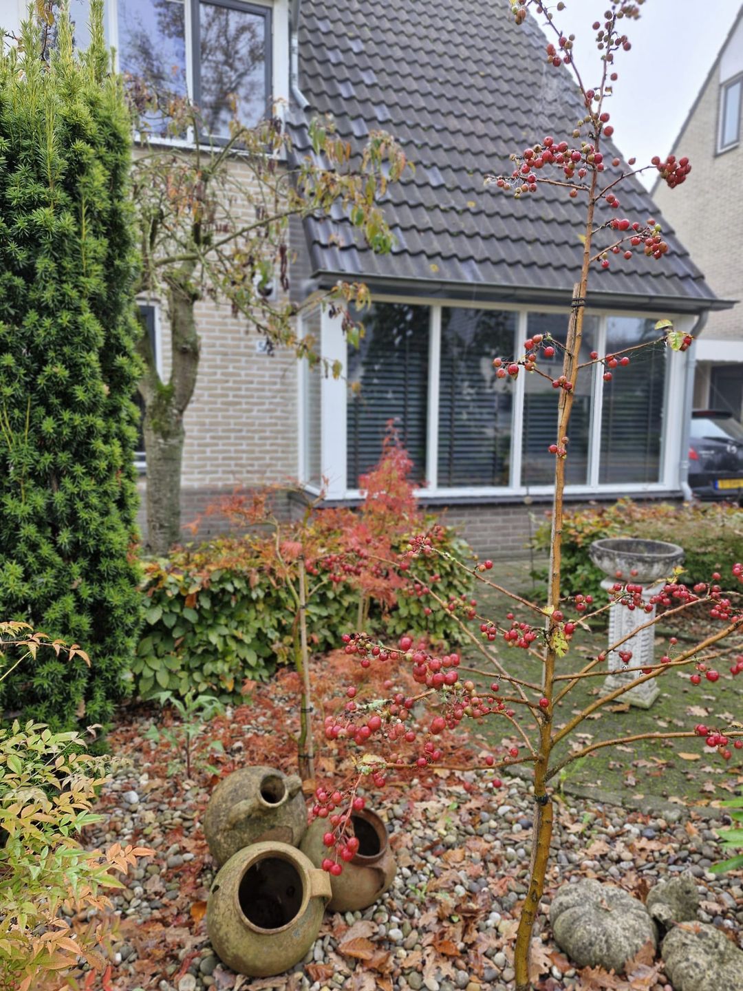 Foto 31 van Bijenkorf 53