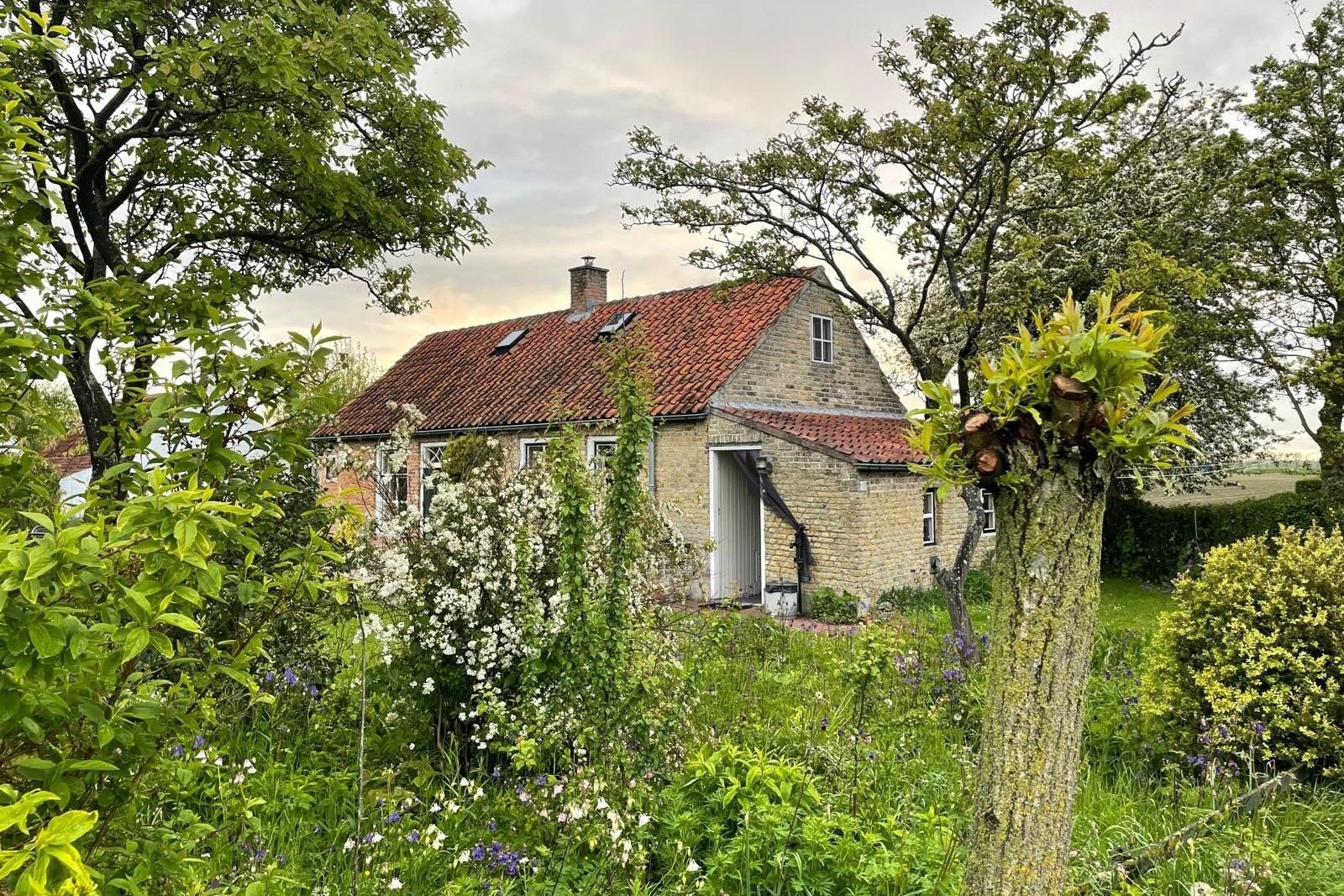 Foto 39 van Jonkvrouw Geilstraat 12