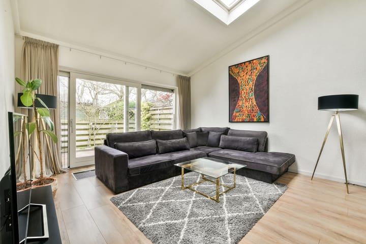 Foto 3 van Goudpluvier 49