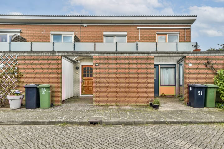 Foto 2 van Goudpluvier 49