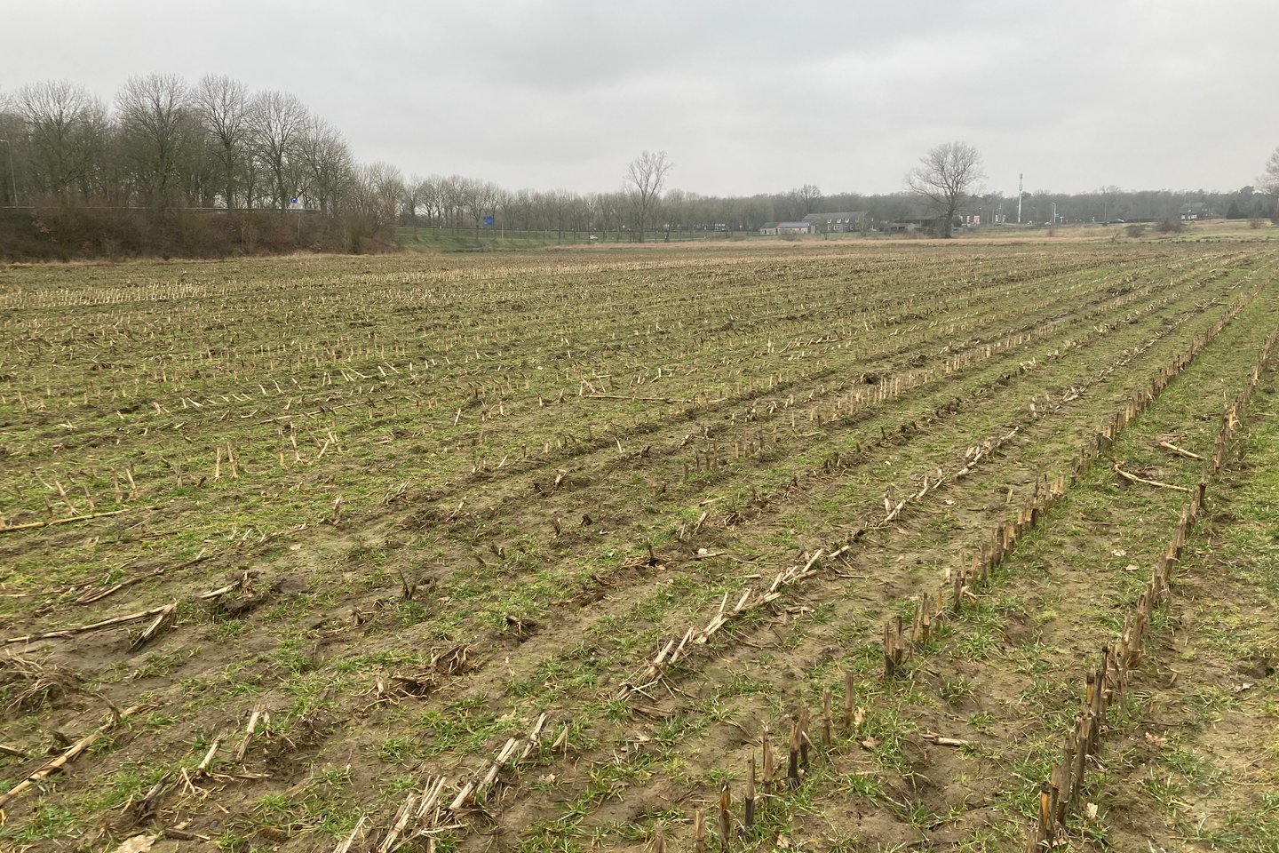 Bekijk foto 2 van Weideweg