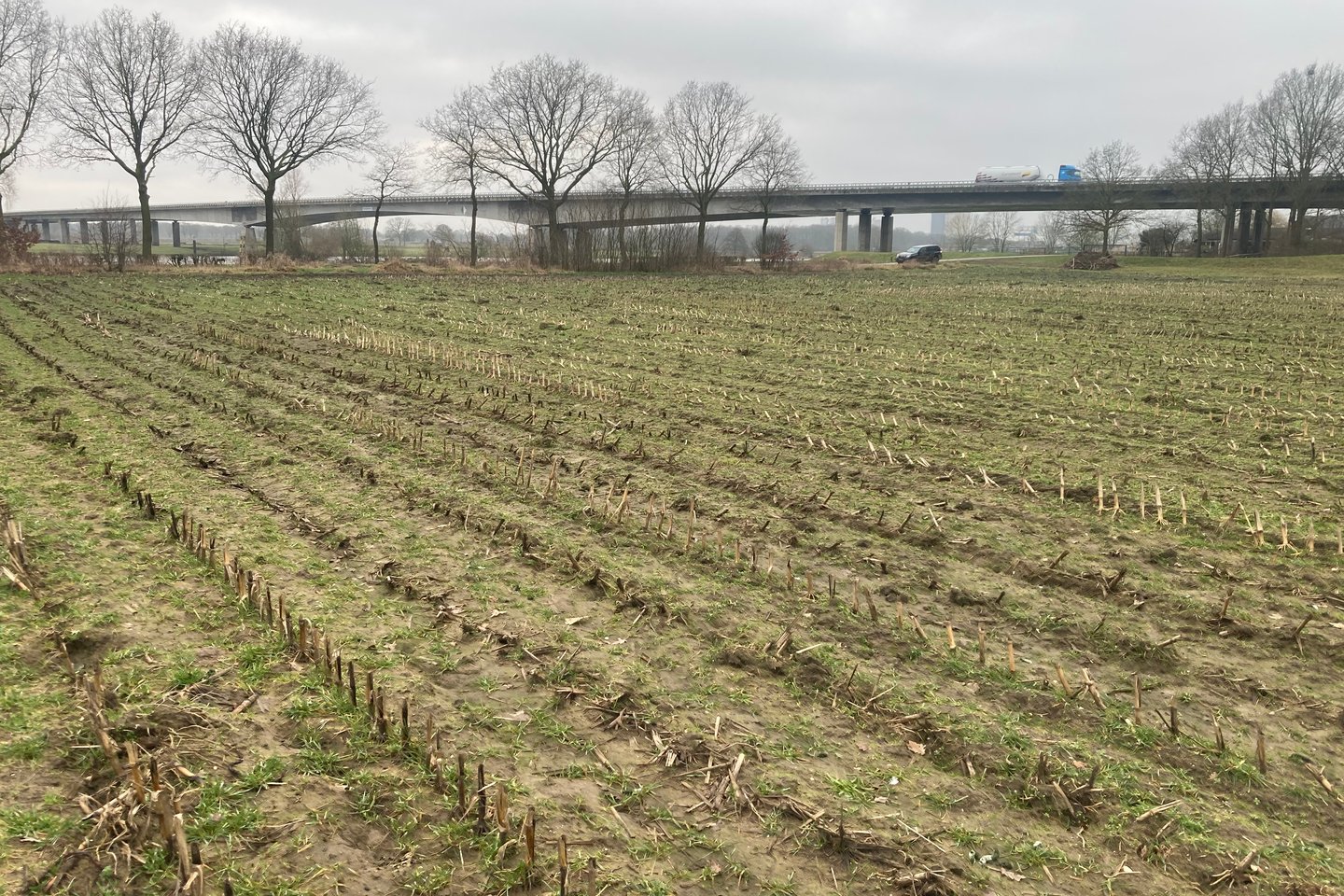 Bekijk foto 3 van Weideweg