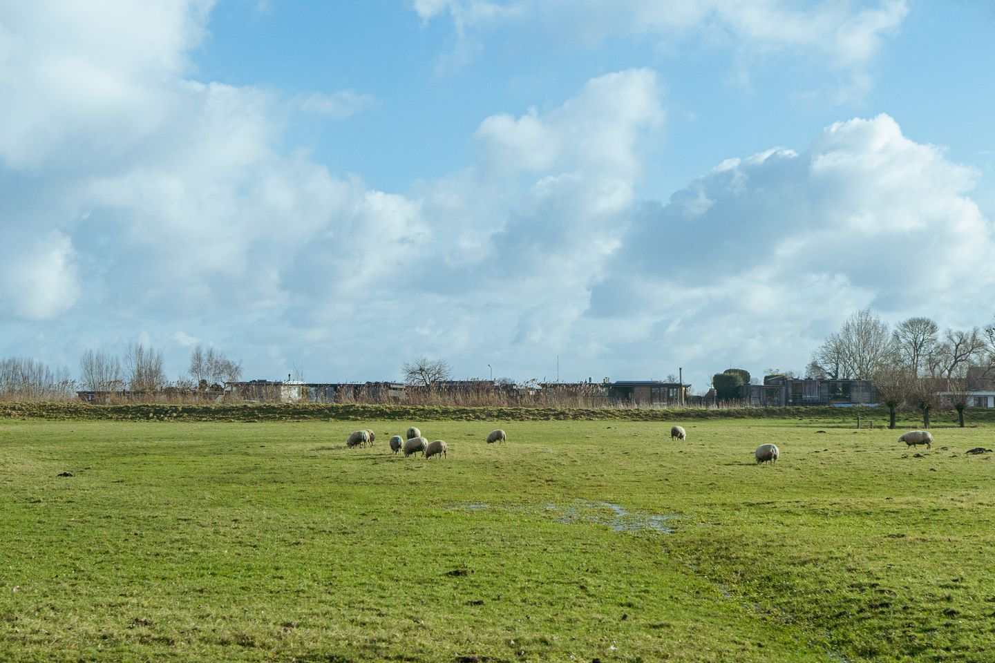 Foto 35 van Vorsselmanstraat 4