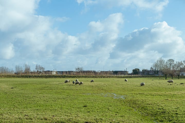 Foto 35 van Vorsselmanstraat 4