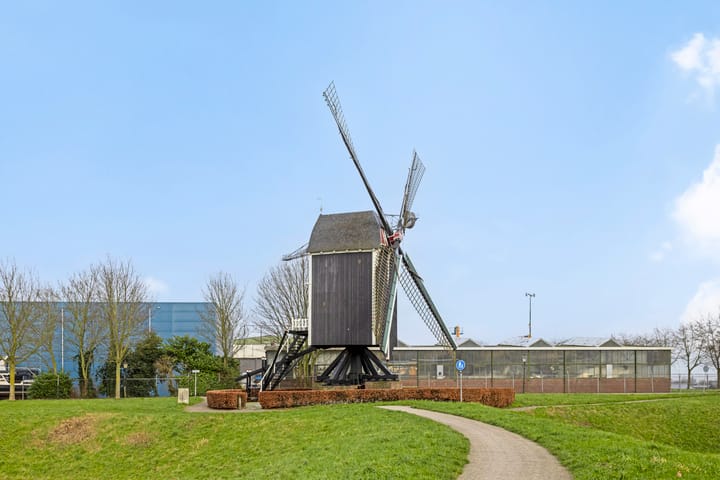 Photo 33 of Demer 11