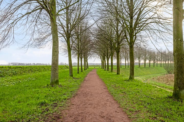 Photo 34 of Demer 11