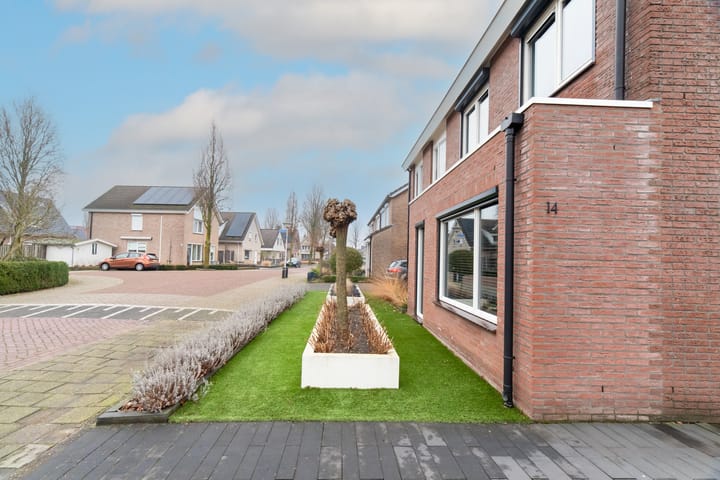 Foto 4 van Roerdomp 14