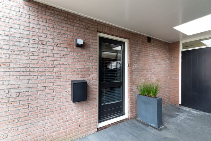 Foto 6 van Roerdomp 14