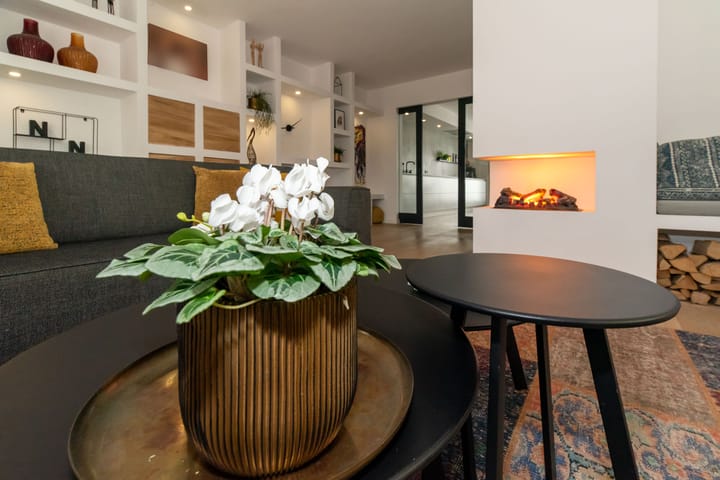 Foto 12 van Roerdomp 14