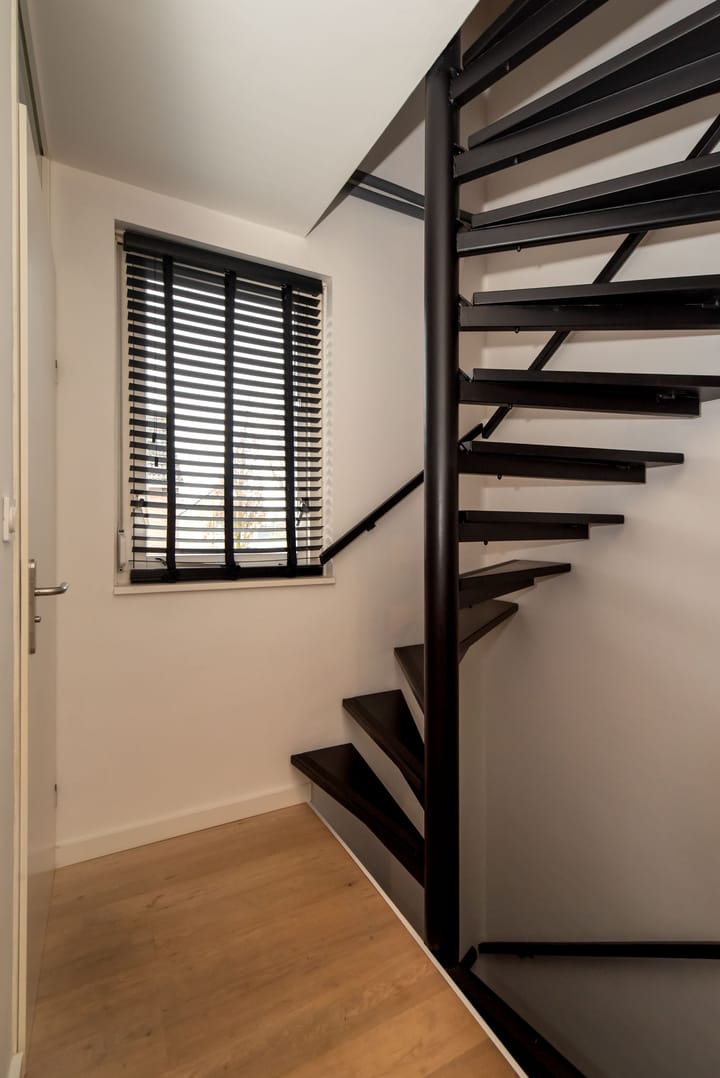 Foto 46 van Roerdomp 14