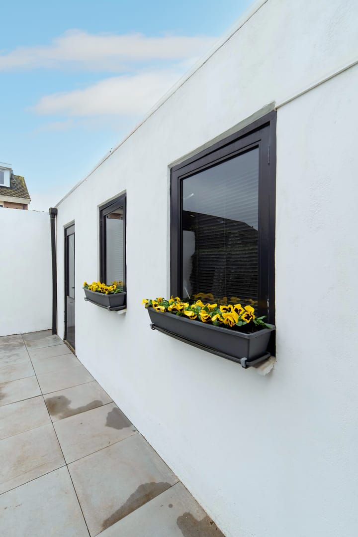 Foto 55 van Roerdomp 14