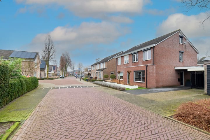 Foto 57 van Roerdomp 14