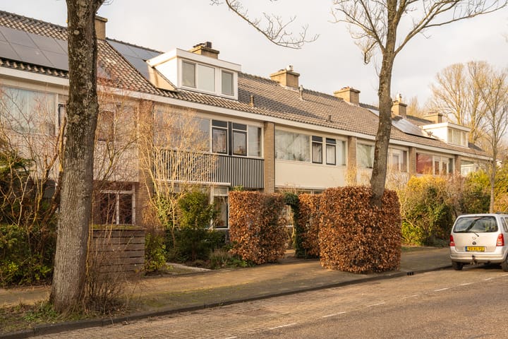 Foto 4 van Van Polanenpark 111