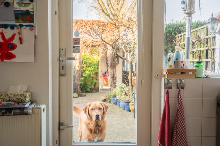 Foto 16 van Van Polanenpark 111