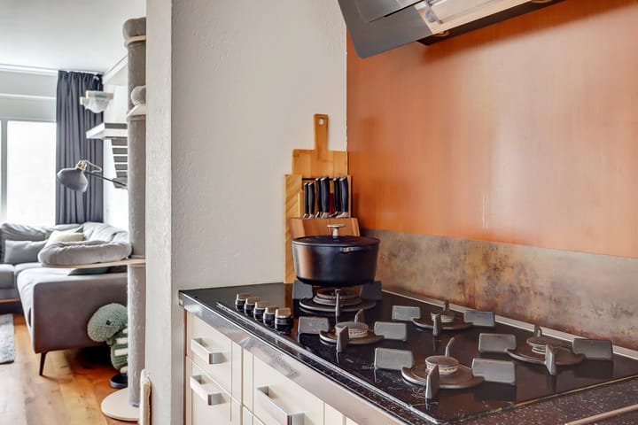 Photo 17 of Dorlandsweer 86