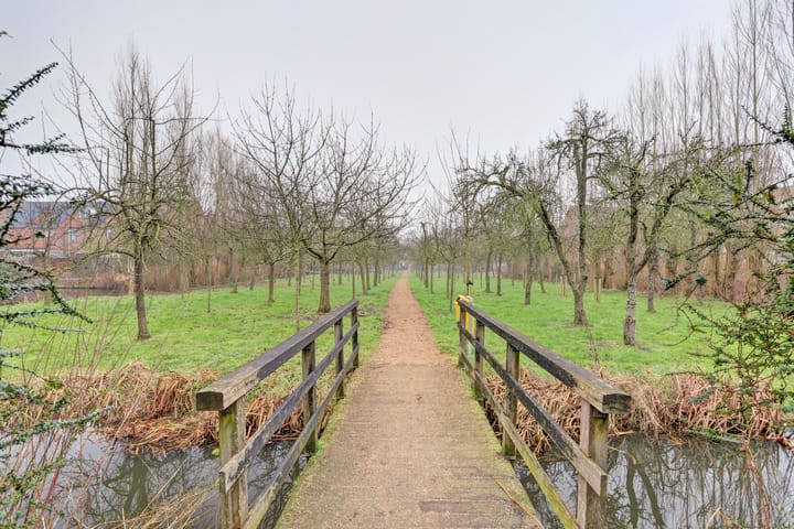 Photo 29 of Dorlandsweer 86